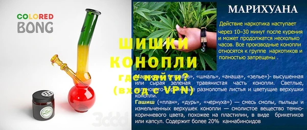 индика Алзамай