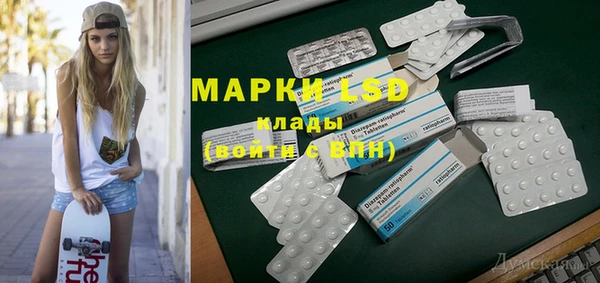 индика Алзамай
