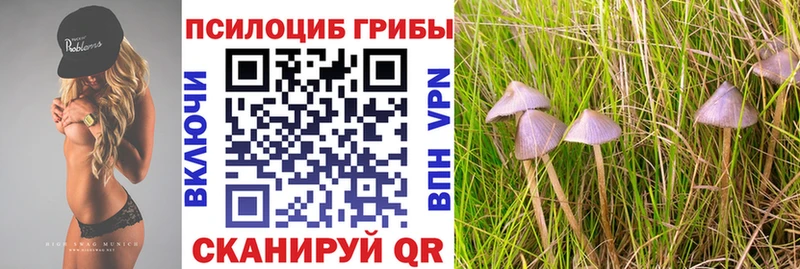 Псилоцибиновые грибы мухоморы  Чапаевск 