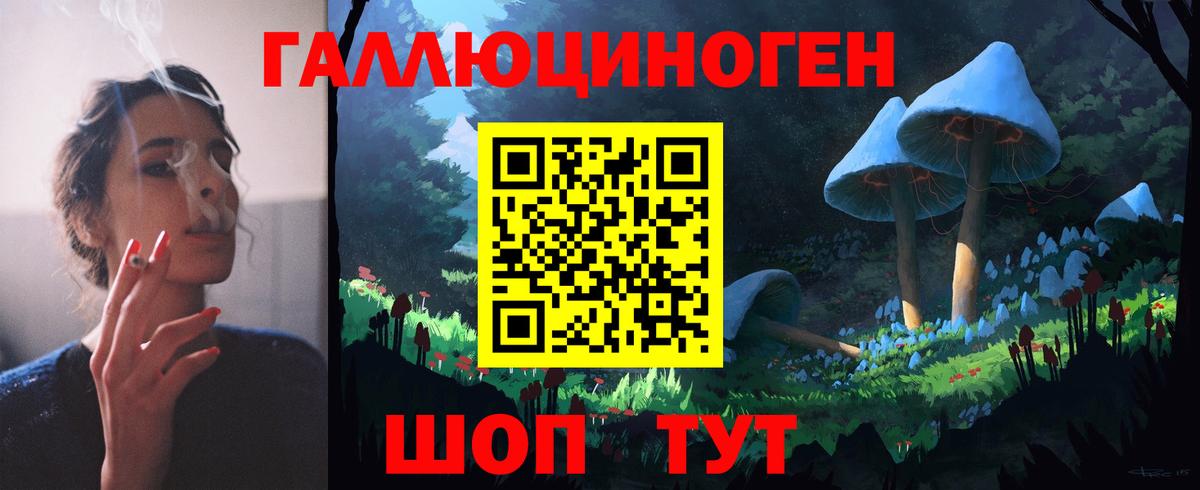 Псилоцибиновые грибы Psilocybine cubensis Чапаевск
